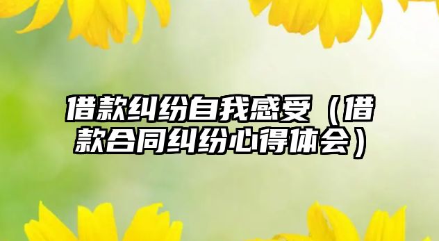 借款糾紛自我感受（借款合同糾紛心得體會(huì)）