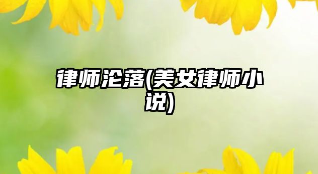 律師淪落(美女律師小說)