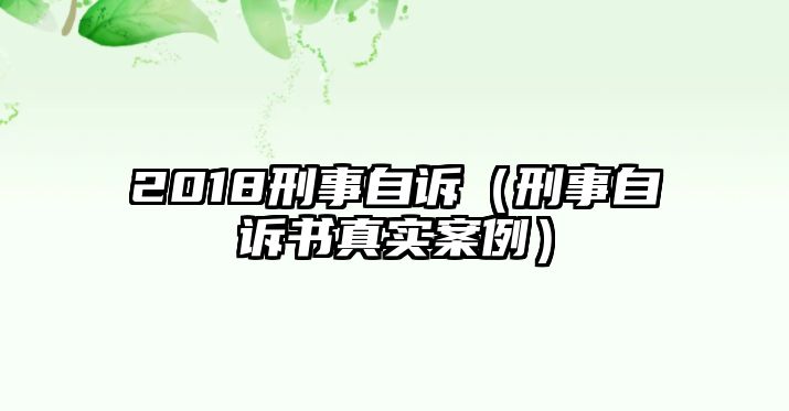 2018刑事自訴（刑事自訴書真實案例）