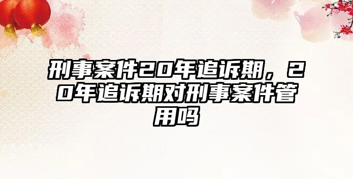 刑事案件20年追訴期，20年追訴期對刑事案件管用嗎