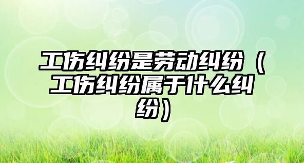 工傷糾紛是勞動糾紛（工傷糾紛屬于什么糾紛）