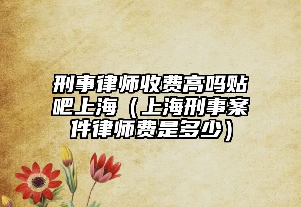 刑事律師收費高嗎貼吧上海（上海刑事案件律師費是多少）