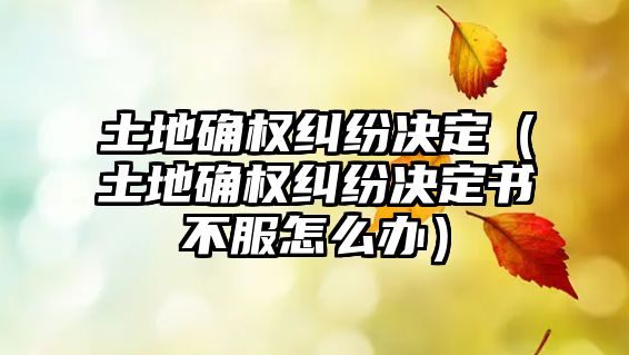 土地確權糾紛決定（土地確權糾紛決定書不服怎么辦）