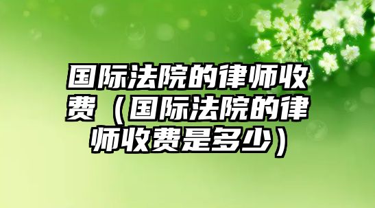 國際法院的律師收費（國際法院的律師收費是多少）