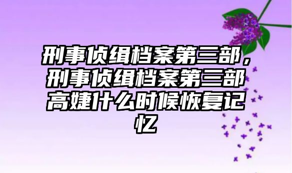 刑事偵緝檔案第三部，刑事偵緝檔案第三部高婕什么時候恢復記憶