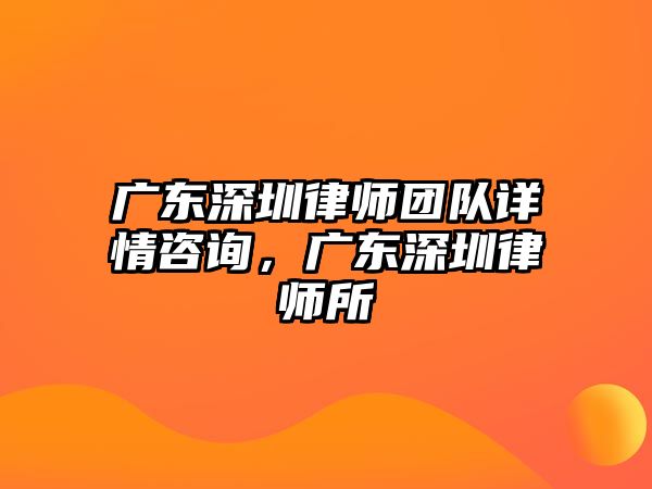 廣東深圳律師團隊詳情咨詢，廣東深圳律師所