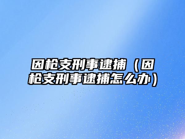 因槍支刑事逮捕（因槍支刑事逮捕怎么辦）