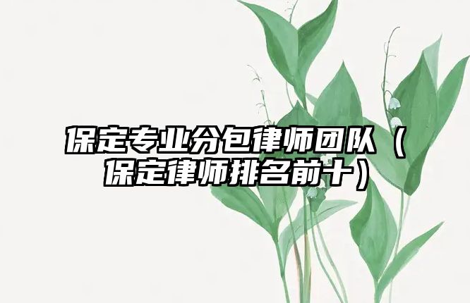 保定專業分包律師團隊（保定律師排名前十）