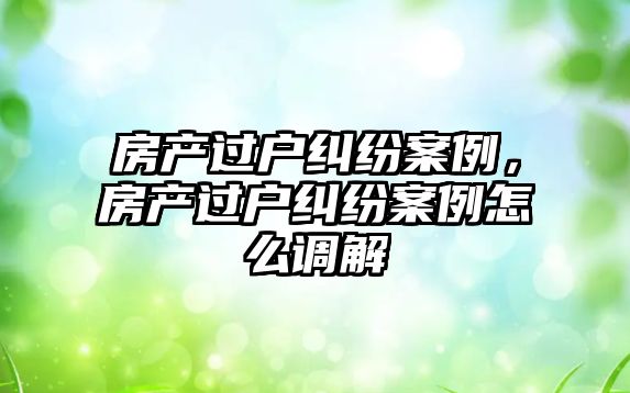 房產過戶糾紛案例，房產過戶糾紛案例怎么調解