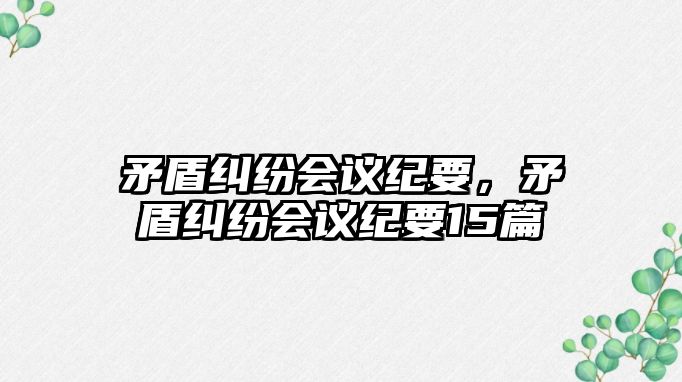 矛盾糾紛會議紀要，矛盾糾紛會議紀要15篇