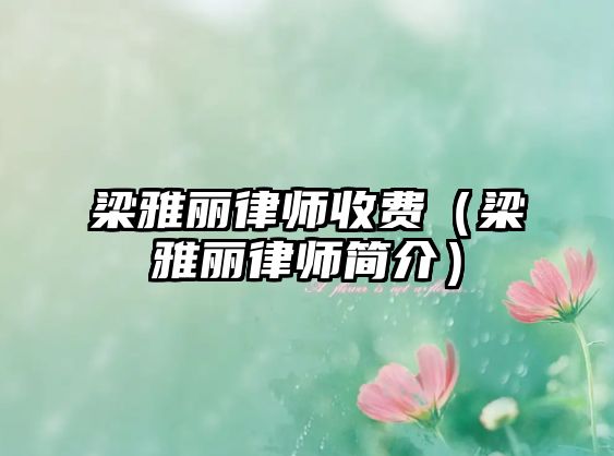 梁雅麗律師收費(fèi)（梁雅麗律師簡(jiǎn)介）