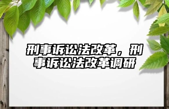 刑事訴訟法改革，刑事訴訟法改革調研