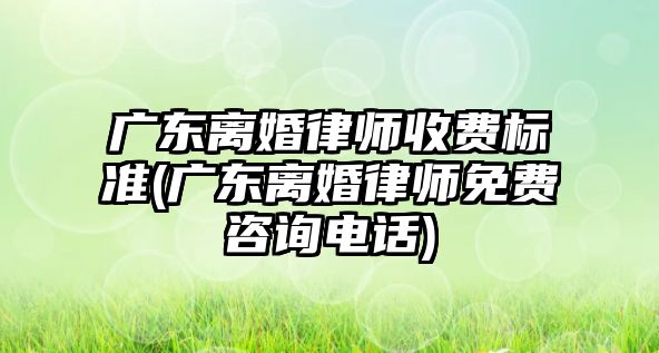 廣東離婚律師收費標(biāo)準(zhǔn)(廣東離婚律師免費咨詢電話)