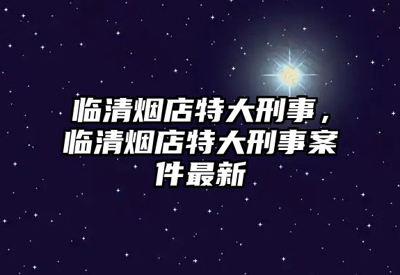 臨清煙店特大刑事，臨清煙店特大刑事案件最新