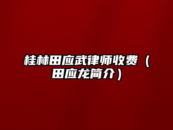 桂林田應武律師收費（田應龍簡介）