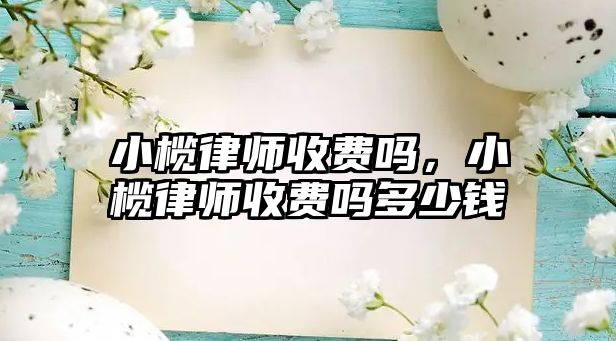 小欖律師收費嗎，小欖律師收費嗎多少錢