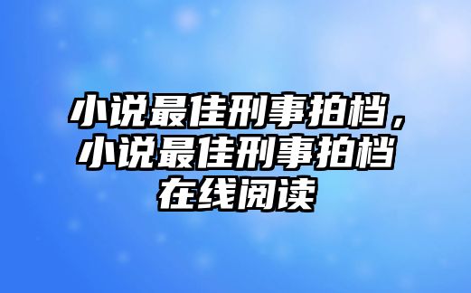 小說最佳刑事拍檔，小說最佳刑事拍檔在線閱讀