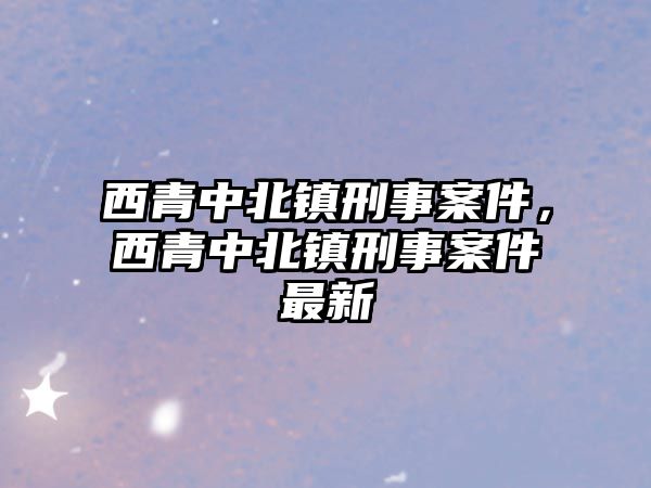 西青中北鎮刑事案件，西青中北鎮刑事案件最新