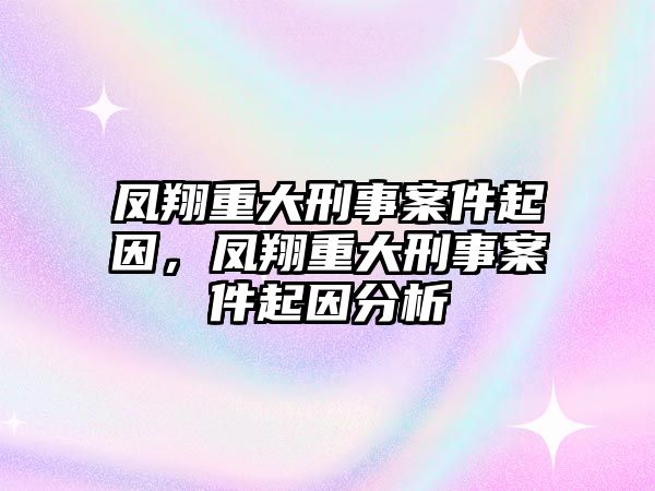 鳳翔重大刑事案件起因，鳳翔重大刑事案件起因分析