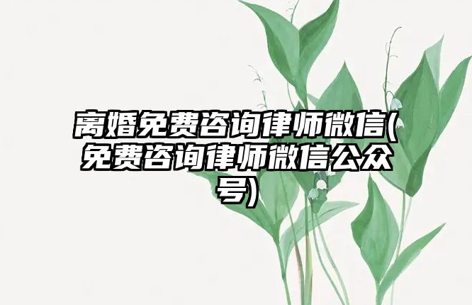 離婚免費咨詢律師微信(免費咨詢律師微信公眾號)