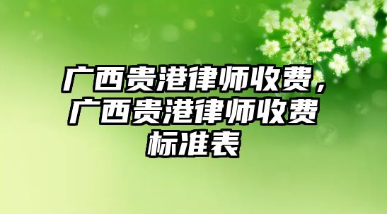 廣西貴港律師收費，廣西貴港律師收費標準表