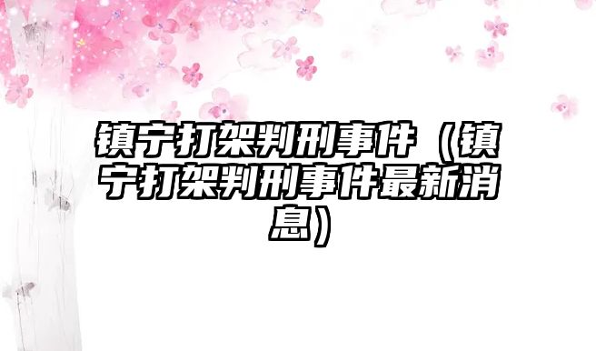 鎮寧打架判刑事件（鎮寧打架判刑事件最新消息）