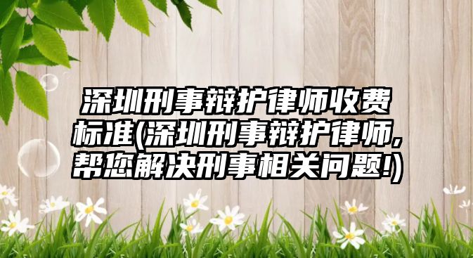 深圳刑事辯護律師收費標準(深圳刑事辯護律師,幫您解決刑事相關問題!)