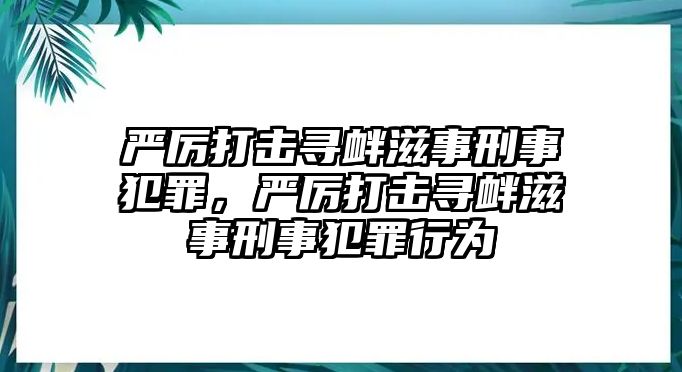 嚴厲打擊尋釁滋事刑事犯罪，嚴厲打擊尋釁滋事刑事犯罪行為