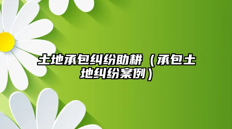 土地承包糾紛助耕（承包土地糾紛案例）