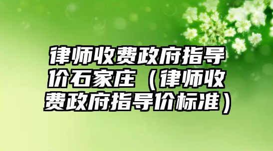 律師收費政府指導價石家莊（律師收費政府指導價標準）