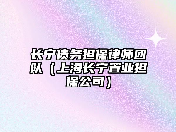 長寧債務擔保律師團隊（上海長寧置業擔保公司）