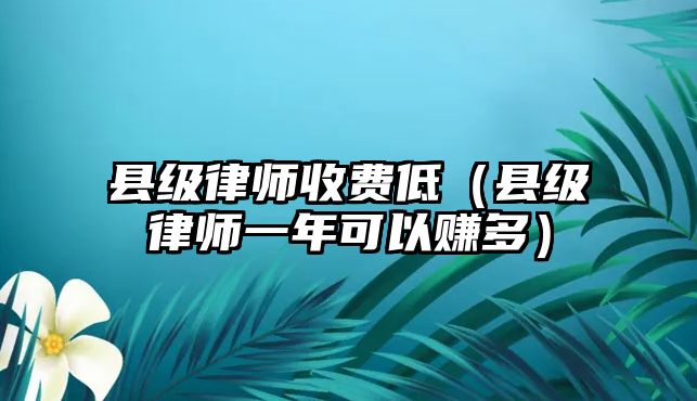 縣級律師收費低（縣級律師一年可以賺多）