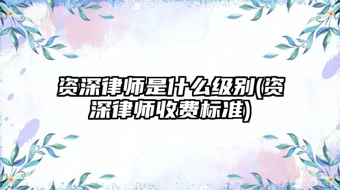 資深律師是什么級別(資深律師收費標準)