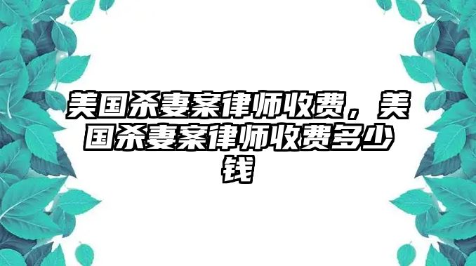 美國殺妻案律師收費，美國殺妻案律師收費多少錢