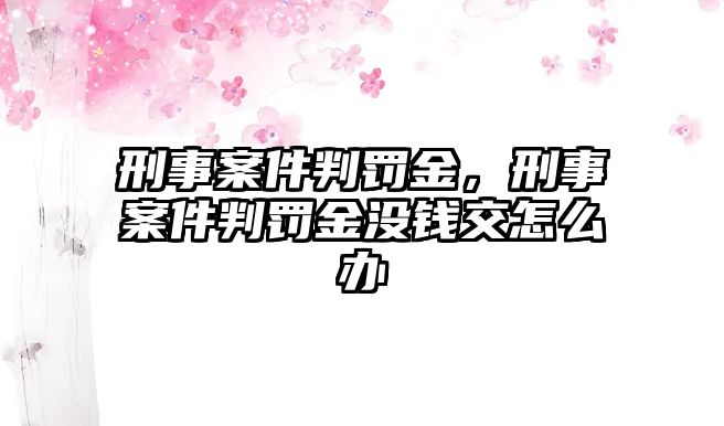 刑事案件判罰金，刑事案件判罰金沒(méi)錢交怎么辦