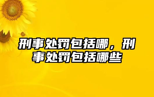 刑事處罰包括哪，刑事處罰包括哪些