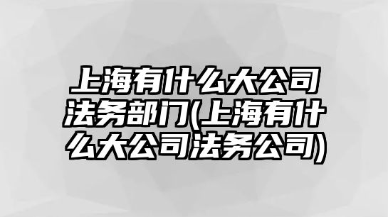 上海有什么大公司法務(wù)部門(上海有什么大公司法務(wù)公司)