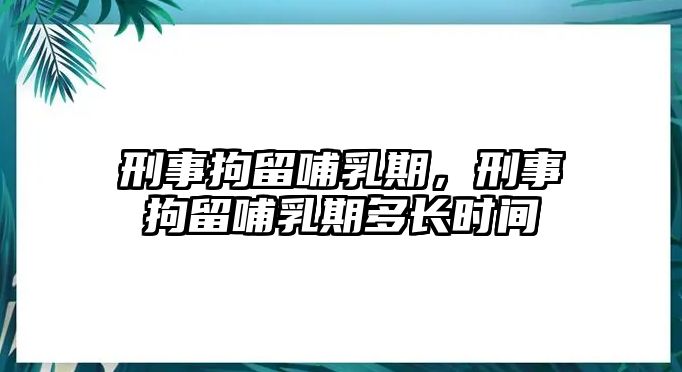 刑事拘留哺乳期，刑事拘留哺乳期多長時間