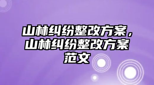 山林糾紛整改方案，山林糾紛整改方案范文