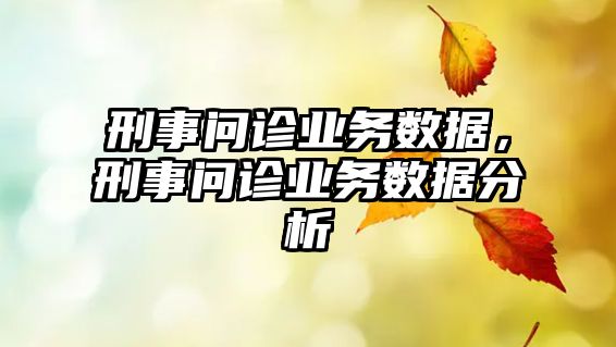 刑事問診業務數據，刑事問診業務數據分析