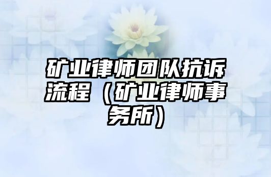 礦業律師團隊抗訴流程（礦業律師事務所）