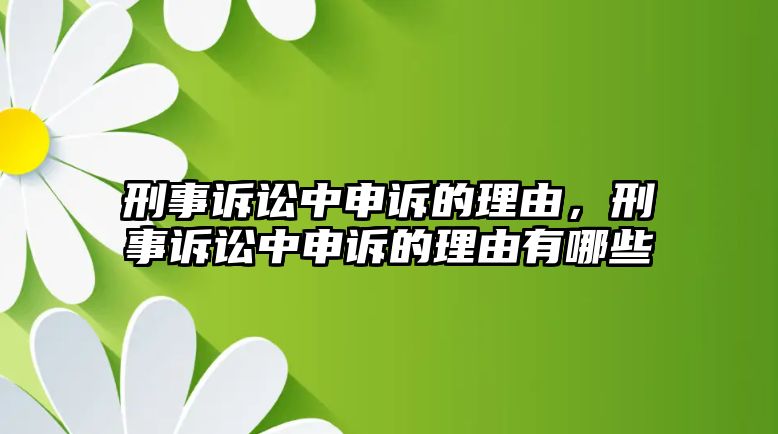 刑事訴訟中申訴的理由，刑事訴訟中申訴的理由有哪些