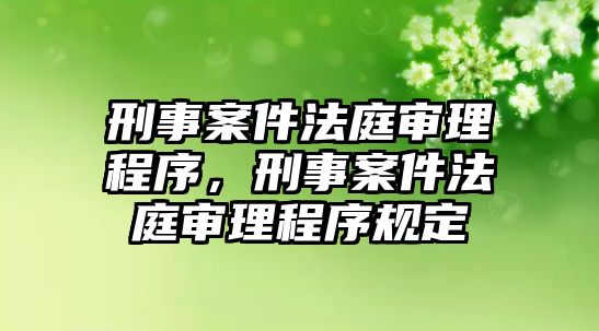 刑事案件法庭審理程序，刑事案件法庭審理程序規定