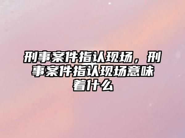 刑事案件指認現場，刑事案件指認現場意味著什么