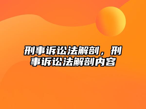 刑事訴訟法解剖，刑事訴訟法解剖內容