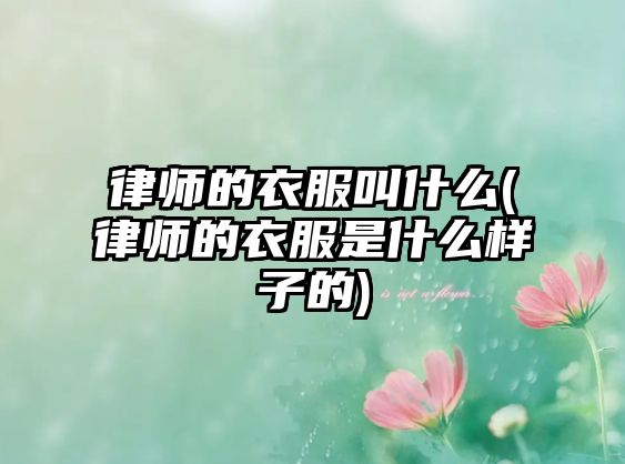 律師的衣服叫什么(律師的衣服是什么樣子的)