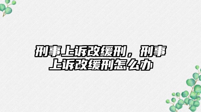 刑事上訴改緩刑，刑事上訴改緩刑怎么辦