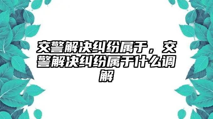 交警解決糾紛屬于，交警解決糾紛屬于什么調(diào)解