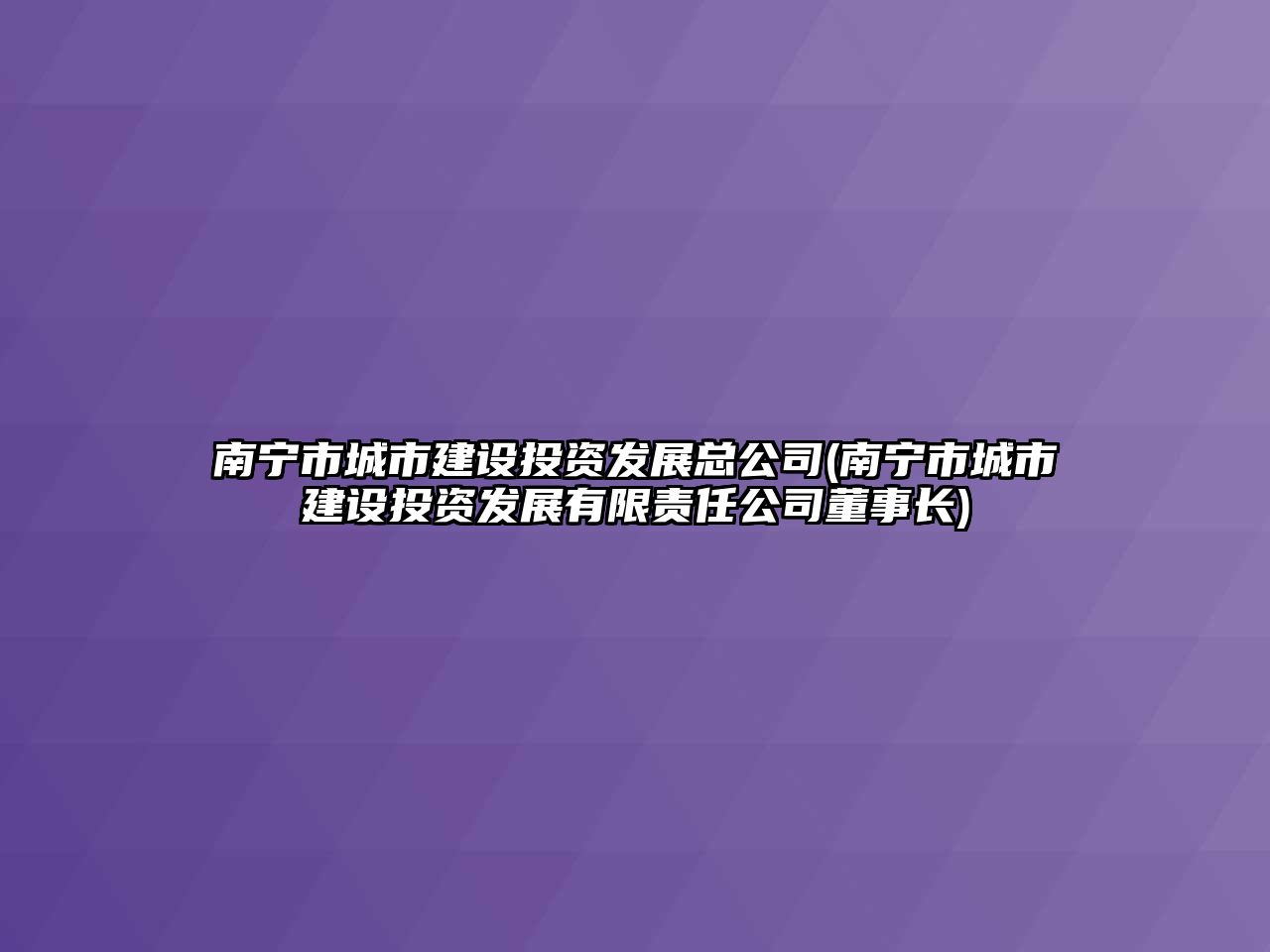 南寧市城市建設投資發展總公司(南寧市城市建設投資發展有限責任公司董事長)