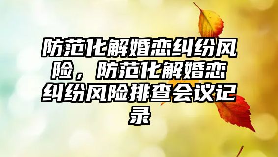 防范化解婚戀糾紛風險，防范化解婚戀糾紛風險排查會議記錄